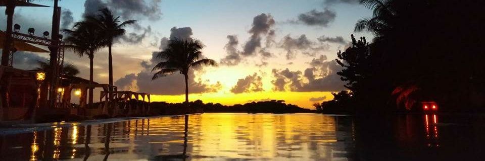 dfalkowsky's profile banner image