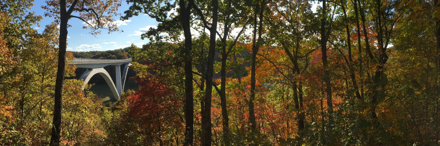 Greg Hallmark banner