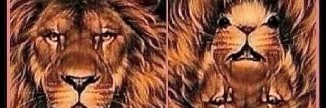CW_Bey's profile banner image