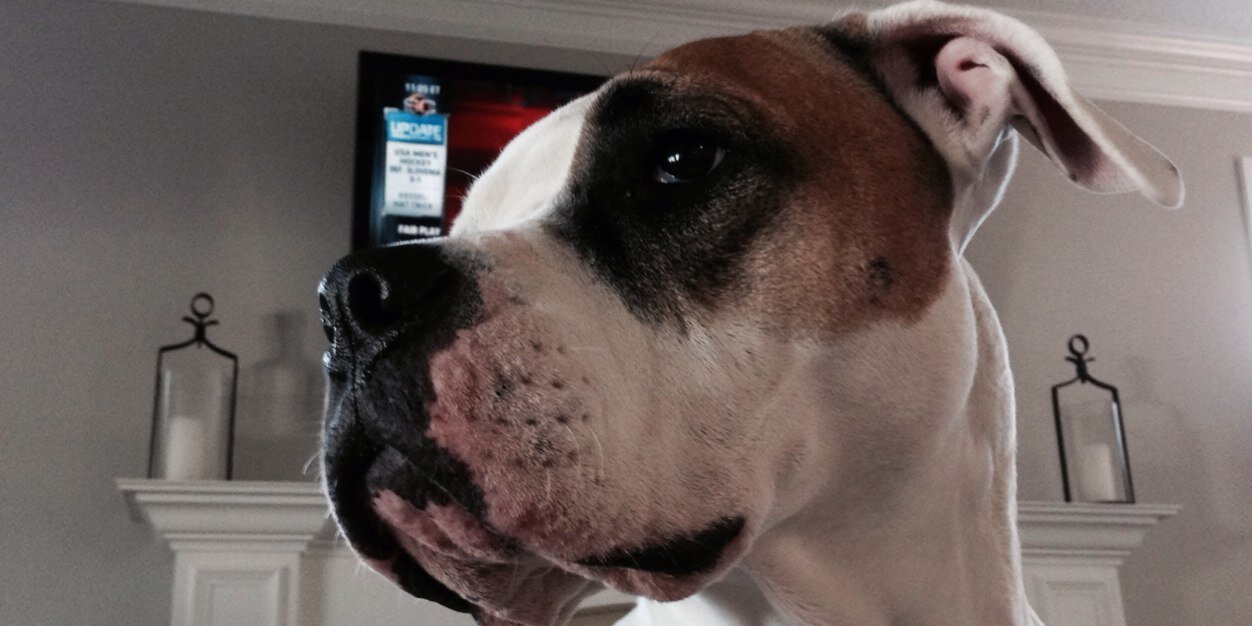 Jeff de Rijke banner