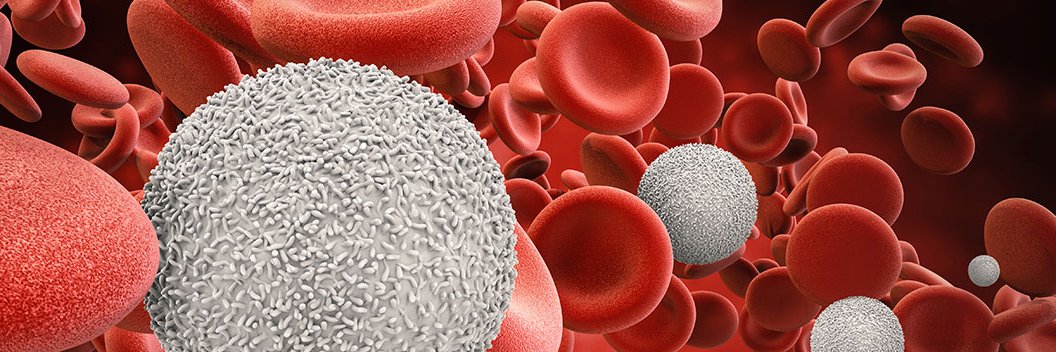 Mehdi Hamadani, MD's banner
