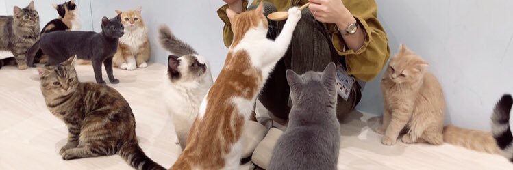 Hellooo10v6's profile banner image