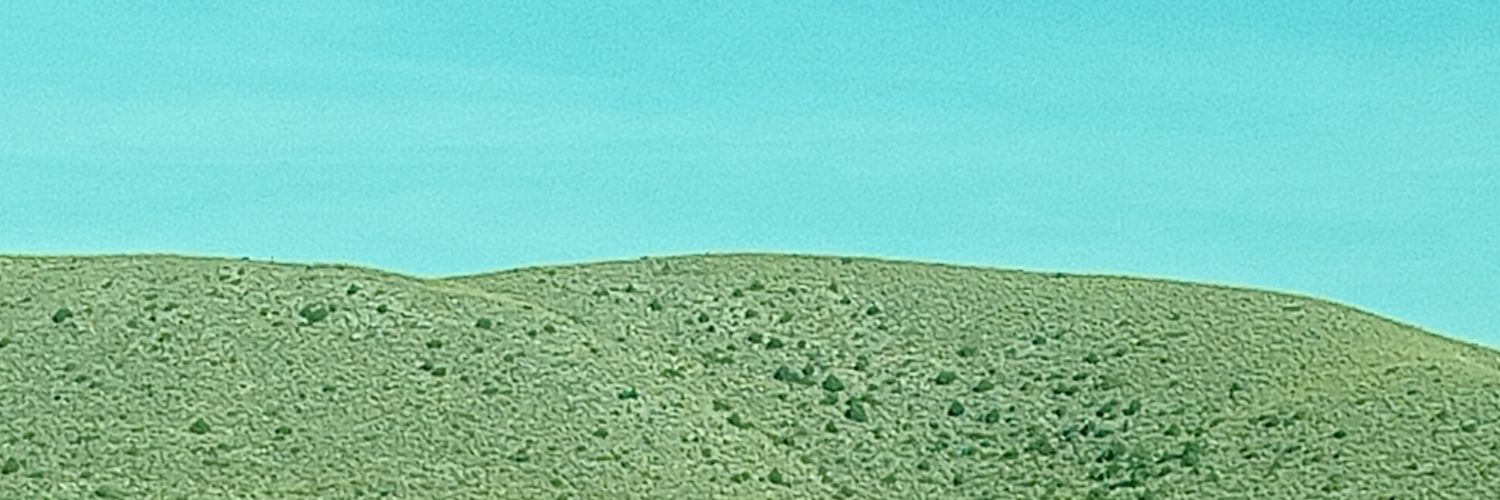 D. banner