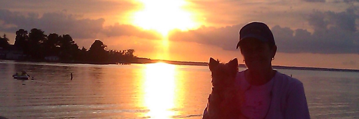 Wanda Watkins banner