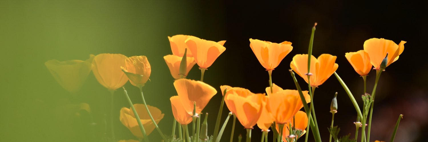 TinaTuan's profile banner image