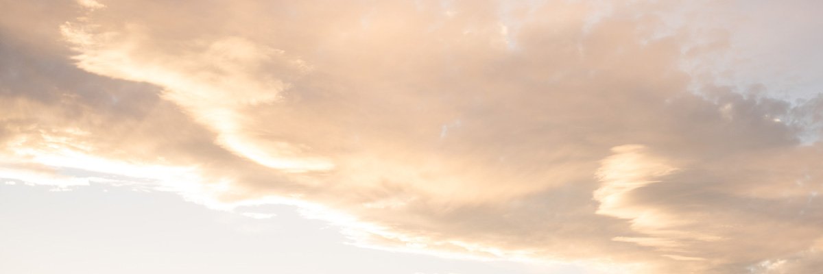 lejaclyn's profile banner image