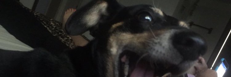 MccraryKylea's profile banner image