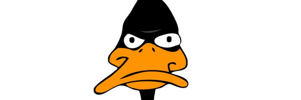 BlueBirdsFriend Profile Banner