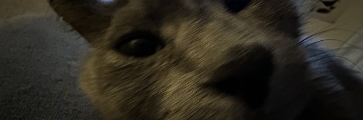 DunceTheDoctor's profile banner image