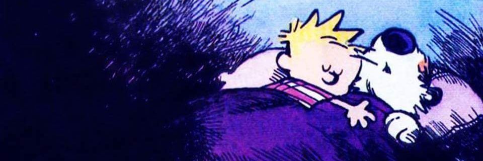 faradory's profile banner image