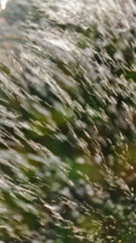 ale4894's profile banner image