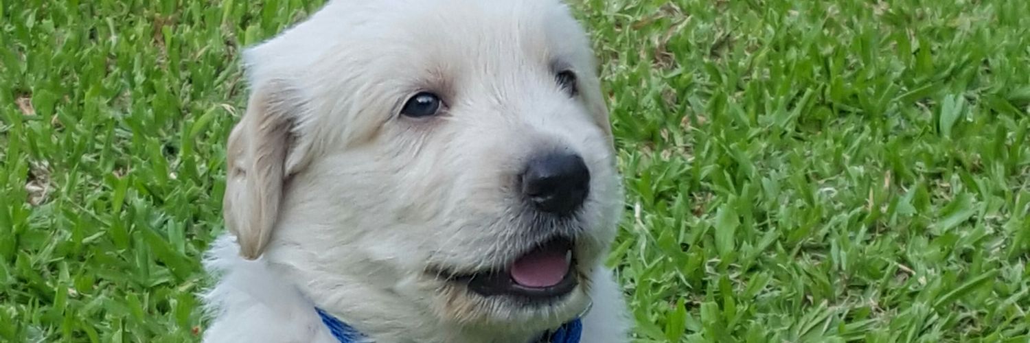 pabloanto08's profile banner image