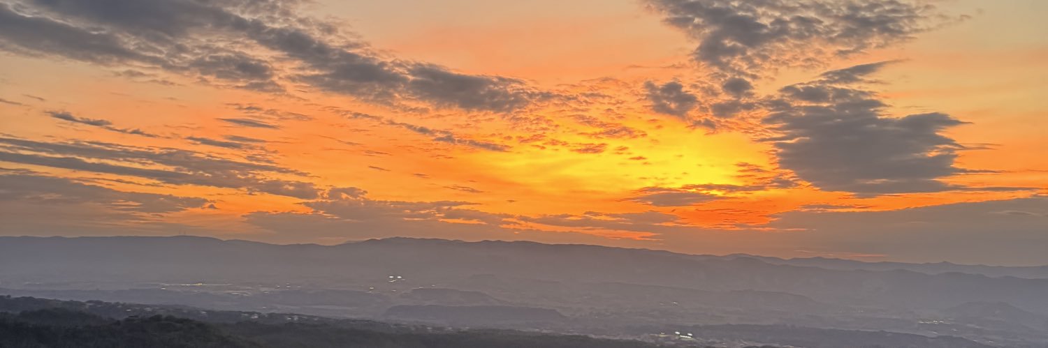 Toni banner