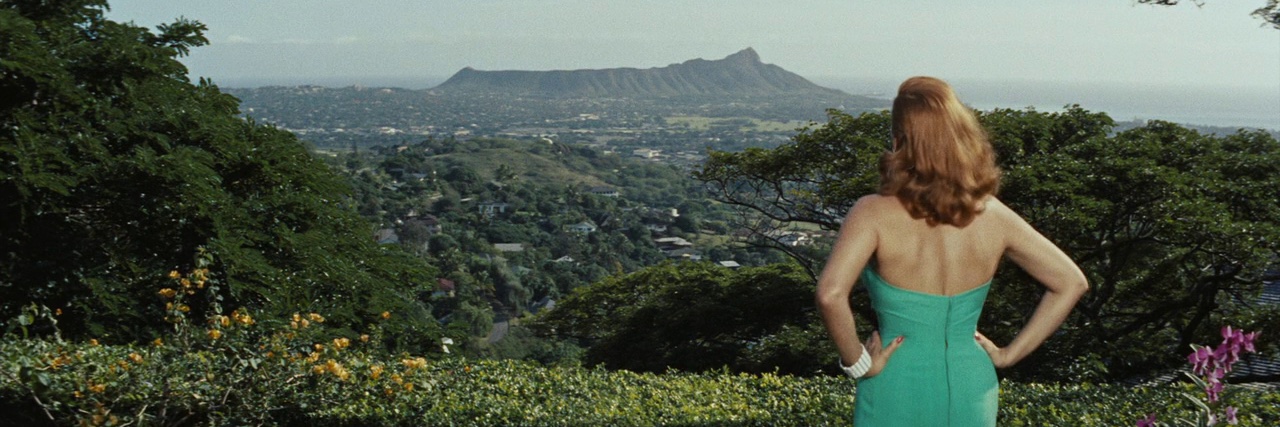 All Inputs and Acronyms banner