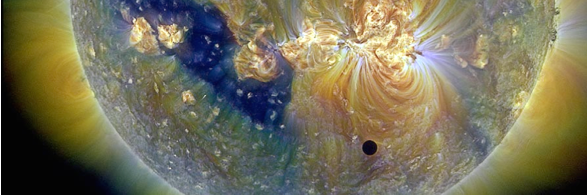 evgenya shkolnik banner