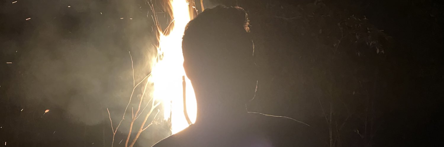 FelipeOtavi's profile banner image