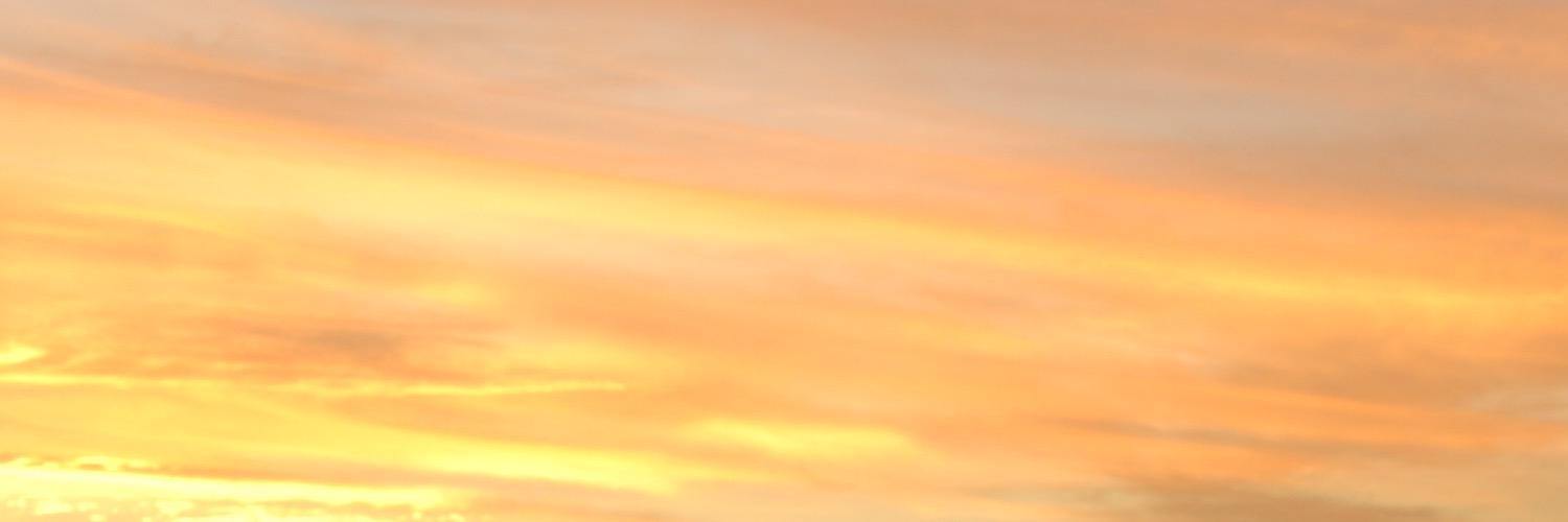 escheftz's profile banner image
