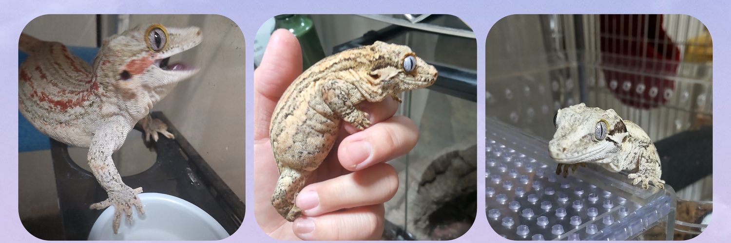 🐉0924 LIFE🐉 banner