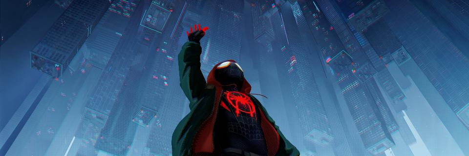 Erv banner