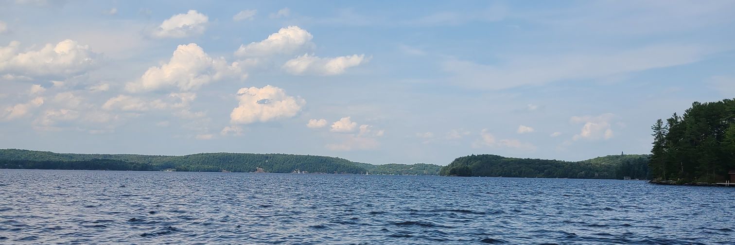 LynnRThom's profile banner image