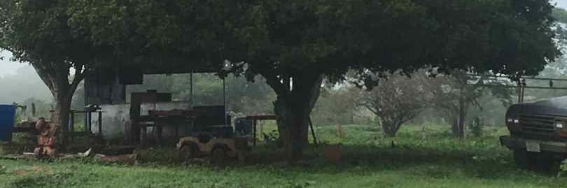 Pardillal's profile banner image