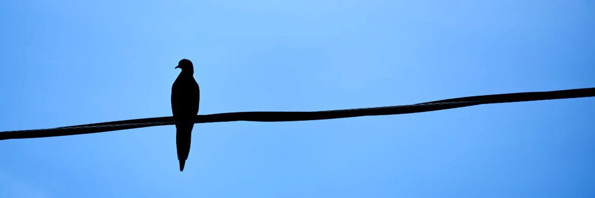 T10900O's profile banner image