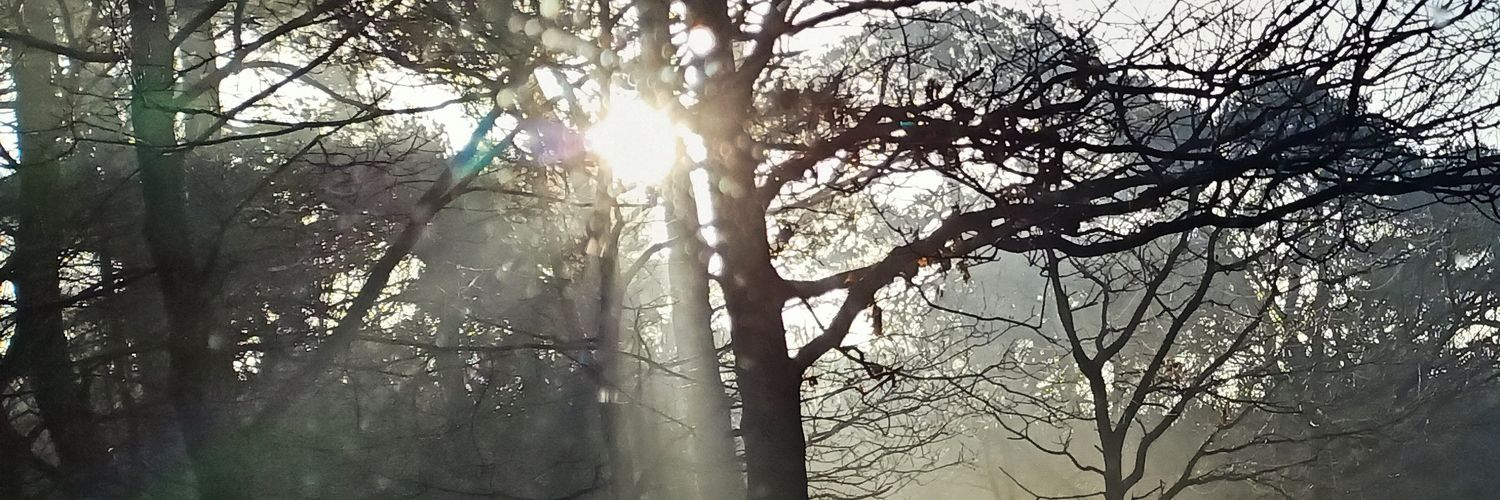 Ursulien's profile banner image