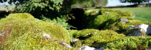 jackmalvern Profile Banner