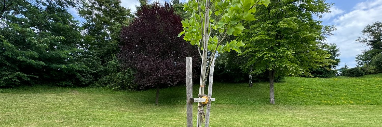 utility73's profile banner image