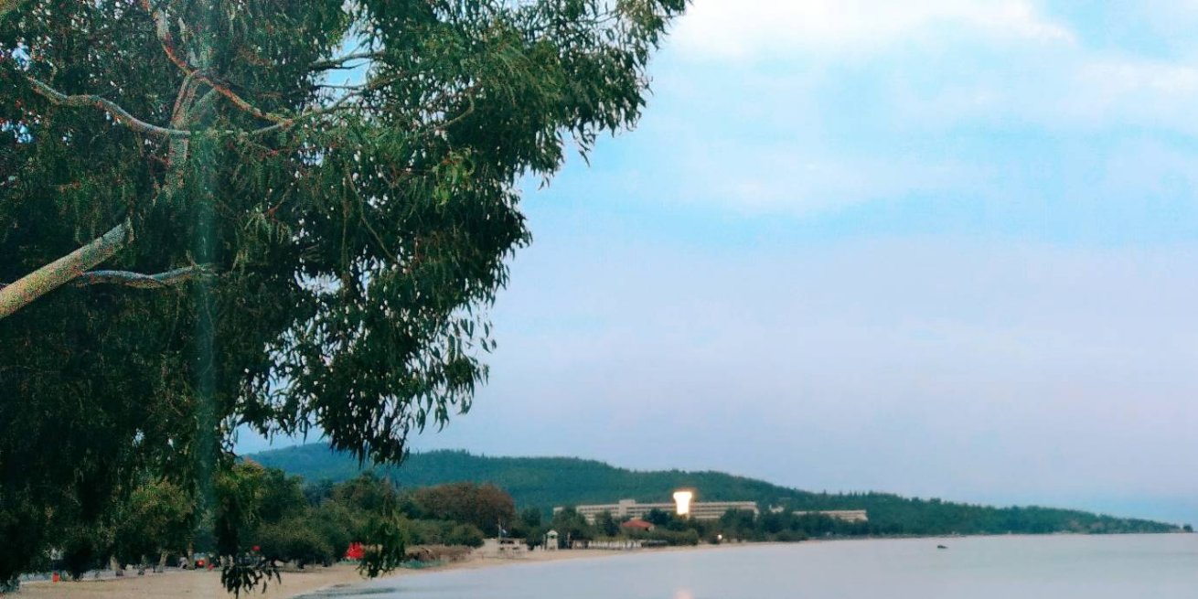 Tripa5335's profile banner image