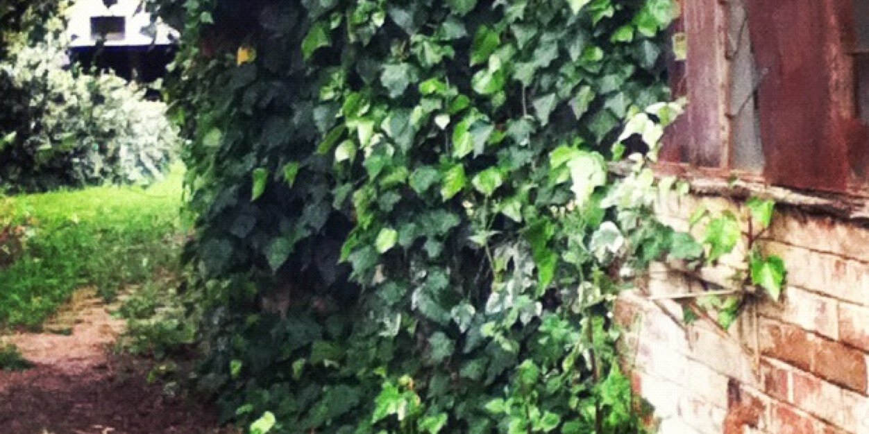 TishWT's profile banner image