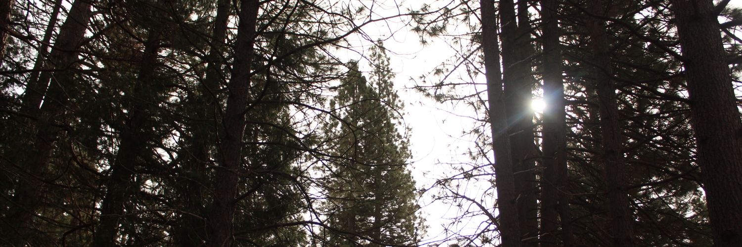 nutukay's profile banner image