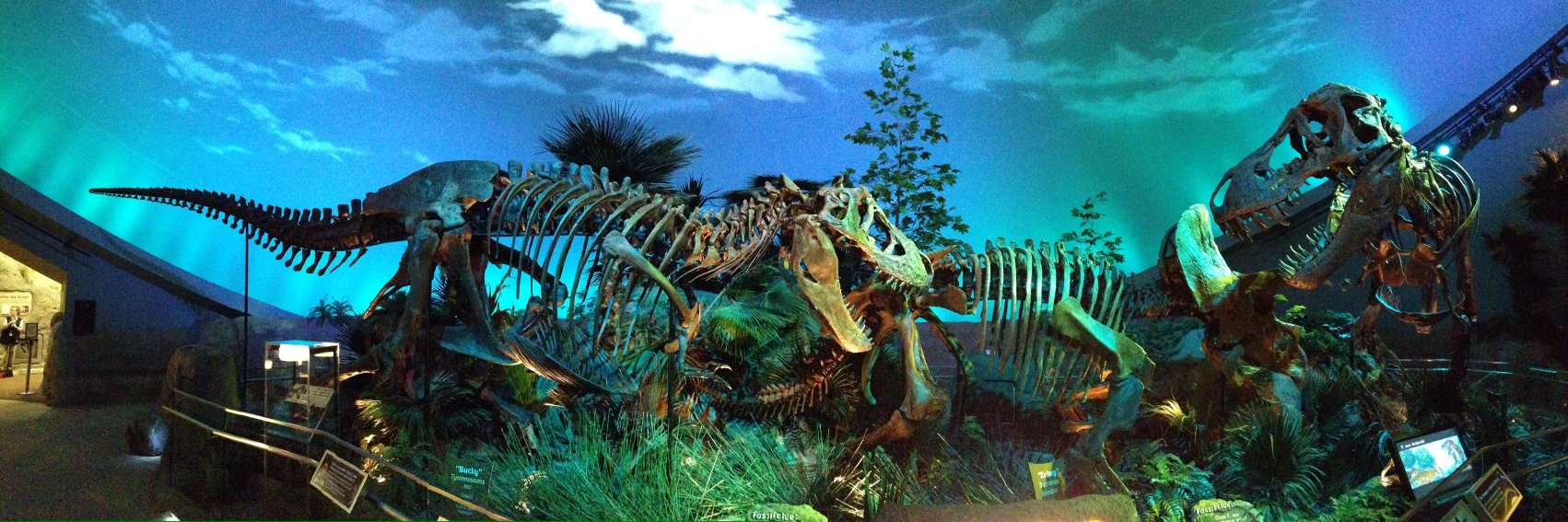 Charon Henning banner