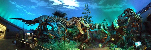 TheOddAngel Profile Banner