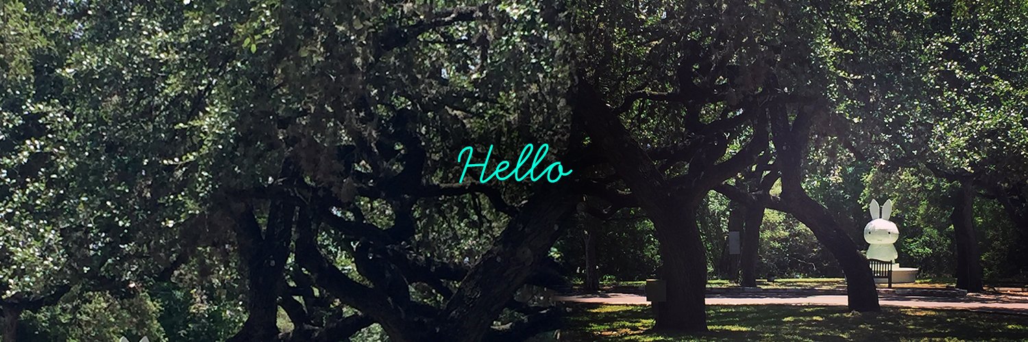 anile's profile banner image