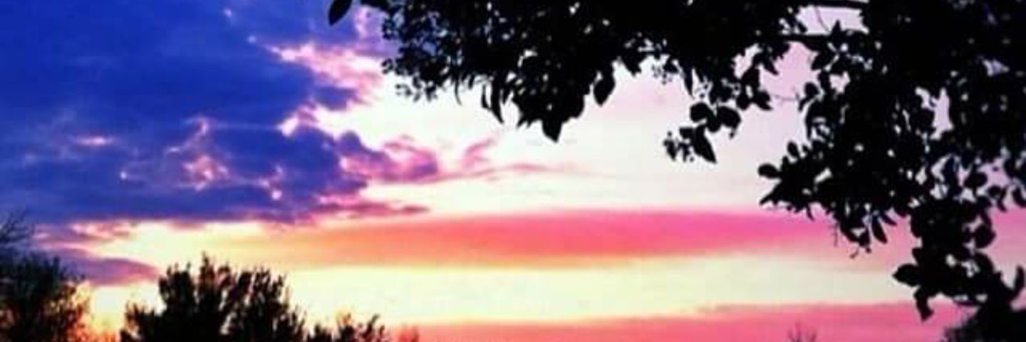 ElvanteRiddick's profile banner image