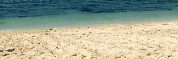 _KA_costa's profile banner image