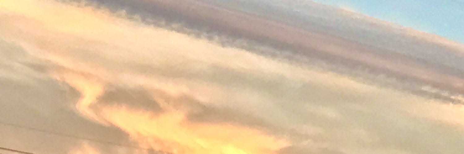 しゅ❁⃘*.ﾟ banner
