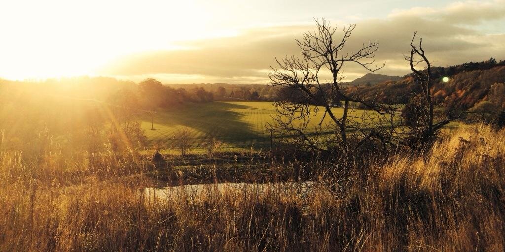 Conrad Rossouw banner