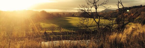 conradr Profile Banner