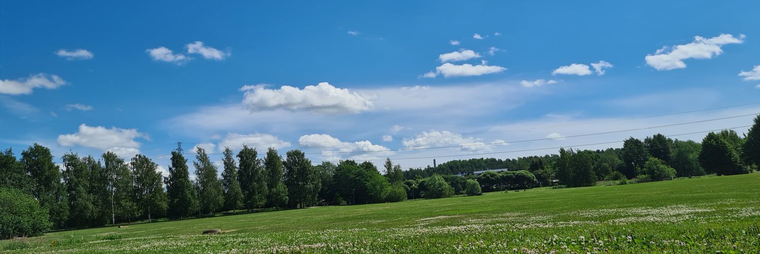 🐎 banner