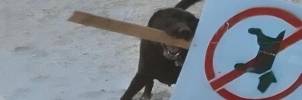 _undertheseaa_ Profile Banner