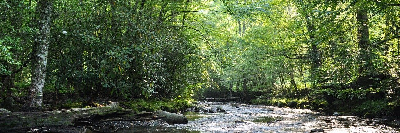 Chloé Girardot Moitié banner