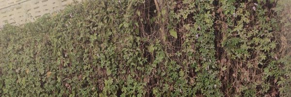 Mrskiranb Profile Banner