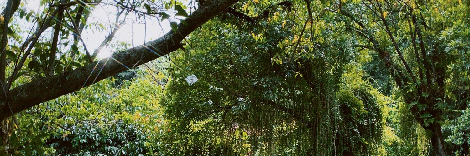 serenasereal's profile banner image