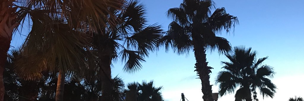 allibean123's profile banner image