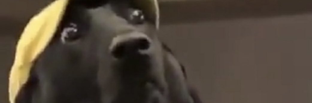 nick_pay24's profile banner image