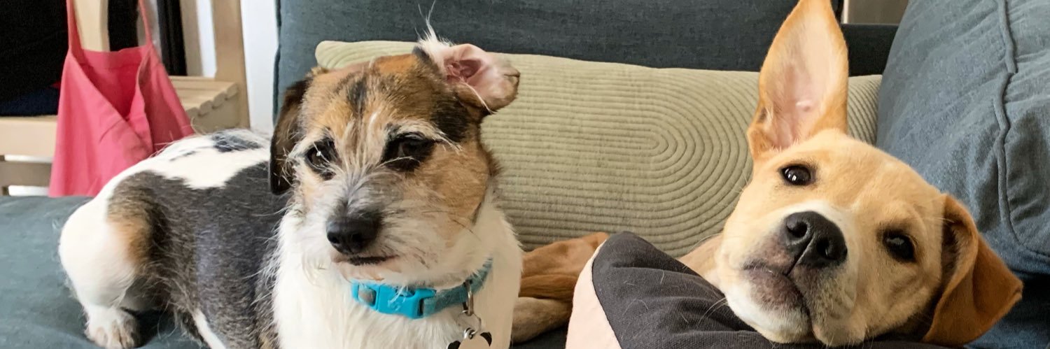 EmilySchienvar's profile banner image