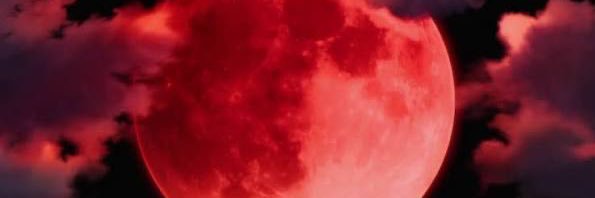 lXenzii- banner