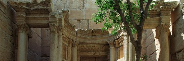 zetalyrae Profile Banner